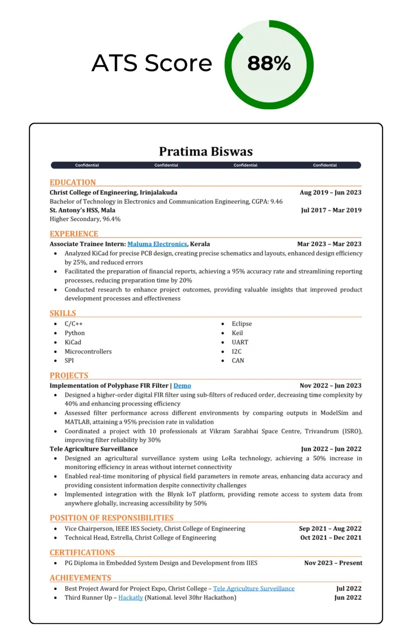 Professional Resume Template